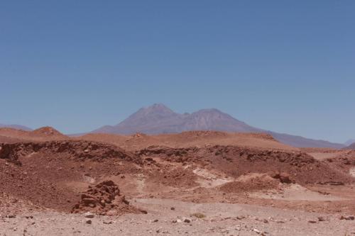 IMG 0130