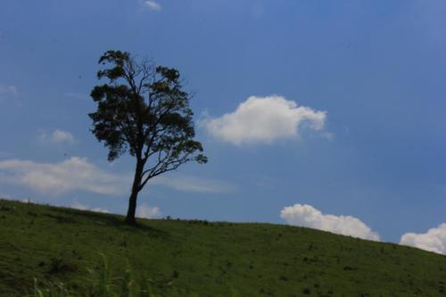IMG 0243