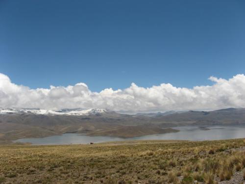 puno 042