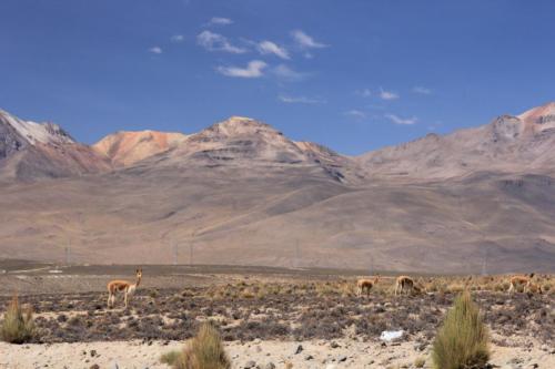 IMG 0660