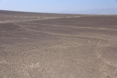 IMG 0677