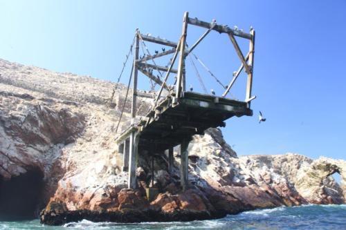 IMG 0804