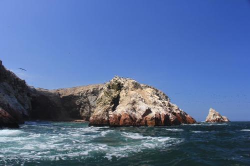 IMG 0806