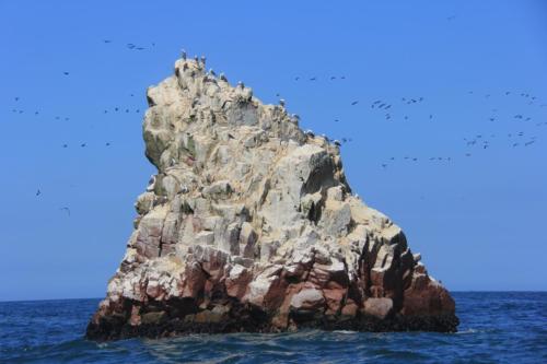 IMG 0812